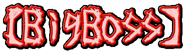 �yBigBoss�z